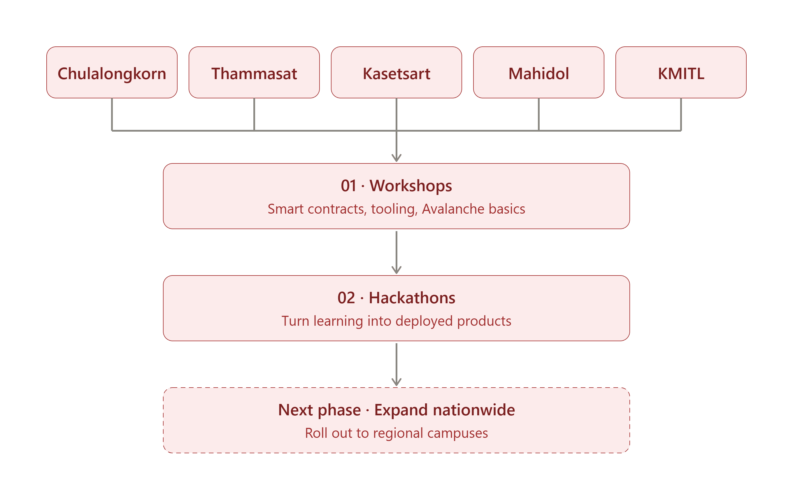 Campaign execution pipeline: five university campuses feed into workshops, then hackathons, followed by nationwide expansion.